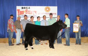 Reserve Grand Champion Steer 2014 Tri State Fair Shown by Trey Hurst